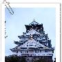 国庆日本8天自由行---第八天大阪