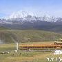 雅拉雪山的登山计划 [组图]