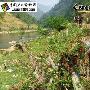 我的长征06年09月06日——乡村路上做环保