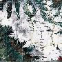 KAILAS未登峰计划之大雪山攀登计划书[组图]