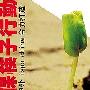 ispo china 三夫户外：“筷子行动”即将启动[组图]