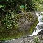 武汉出发之好时机好风景 初夏行走神农架