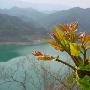 北京门头沟将要建立山区房车营地