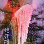 丽江“黑山”之旅--从南尧行走到龙蟠新民[组图]