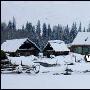 喀纳斯冬季也疯狂 马拉雪橇民俗风情之旅[组图]