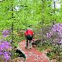 2008新年自行车登山赛日前在桂林尧山举行[组图]