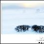 塞罕坝探茫茫林海雪原 木兰围场滑雪摄影狂欢[组图]