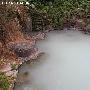 云南游记：穿越高黎贡密林 沐浴摆老塘变色温泉[组图]