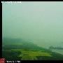 一生痴绝处 无梦到婺源：婺源归来回味（一）[组图]