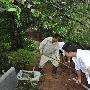 四川甘孜嘉子峰小贡嘎及日乌且冰川徒步探险线路安排