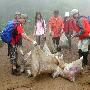 “登山就爱山” 宁波18名登山爱好者冒雨登山清理垃圾