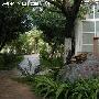别有一番情趣的雨中温泉——玉溪映月潭游记