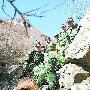 九名驴友被困“猫儿山” 50余人救援队营救
