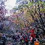 丹东春季观瀑登山线路之二 抗联红色经典线路