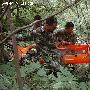 武警黄山支队成功营救一名登山遇险者[组图]