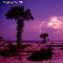 各地壮观闪电瞬间：美丽海滩上空紫光闪现
