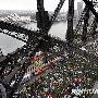悉尼港大桥变草坪 六千人共进早餐创世界纪录