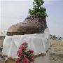 伊拉克小城落成巨鞋雕像向飞鞋记者致敬