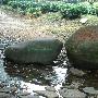 行走，行走，关于爱--杭州（一）