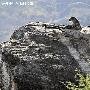 塞伦盖蒂-走进非洲最美的国家公园[组图]