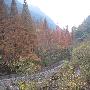 宁海温泉休闲之旅