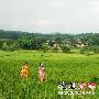 云南芒市旅游攻略 佛祖取名的“黎明之城”