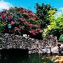 济州旅游休闲攻略（组图）