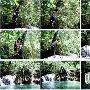 纵身一跳的劲爽 老挝森林飞瀑让帅哥情不自禁（图）