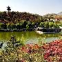 秋高气爽“桃花深处”与爱侣“山野私奔”