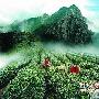 登高远眺插茱萸 九九重阳名山游重磅推荐(图)