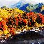 秋季摄影师的创作天堂：婺源美景如此震撼