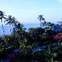 巴厘岛蜜月游记 我的巴厘我的梦