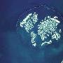 NASA照片显示迪拜“世界岛”有渐沉海底趋势