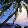 海南最美丽的风景图片大全