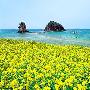 济州岛：门朝大海 春暖花开