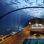 马尔代夫一酒店为新婚夫妇提供海底“洞房”