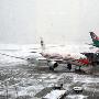 大雪致上海航班大面积延误 部分旅客换乘高铁出行