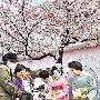 赴日游降价万元吸引客源 台湾旅行业估损百亿