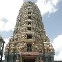 漫游斯里兰卡 看另类的佛教习俗
