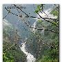 穿越雅鲁藏布大峡谷无人区30天图文记录（六）[组图]