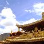 拉萨大昭寺的图片