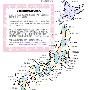 今年日本樱花开放期提早 2013年日本赏樱时间地图