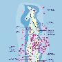 最新马尔代夫岛屿分布图 马尔代夫在线选岛