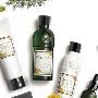 有机植物品牌娜蔻Nature&Co绿色登陆中国