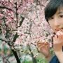 奉子成婚到底会不会幸福