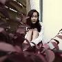 说说“美牙”那些事儿
