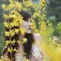 果汁养生 喝得当才美容