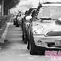 25辆迷你Cooper做婚车