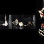 Van Cleef&arpels09最新钻饰
