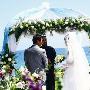 范文芳月底大婚 借《蓝色矢车菊》预演新娘